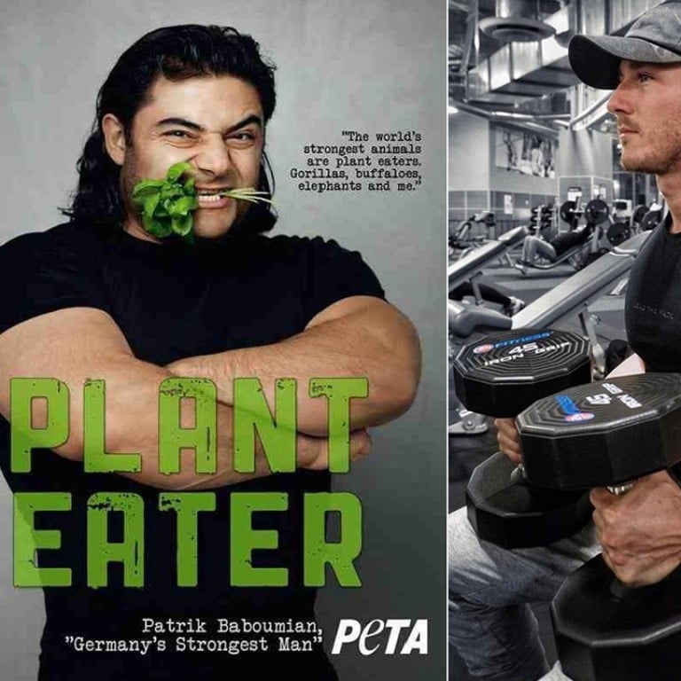 Vegan body-builders who are big and beefy – without any beef in their diet – include Torre Washington, Patrik Baboumian and Nimai Delgado.