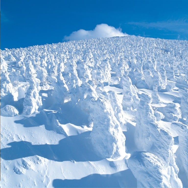 Dramatic ‘juhyo’ or snow monsters – frozen, snow-covered trees – cover the slopes of Mount Zao, close to the Zao Onsen skiing resort. Photos: Cedric Tan