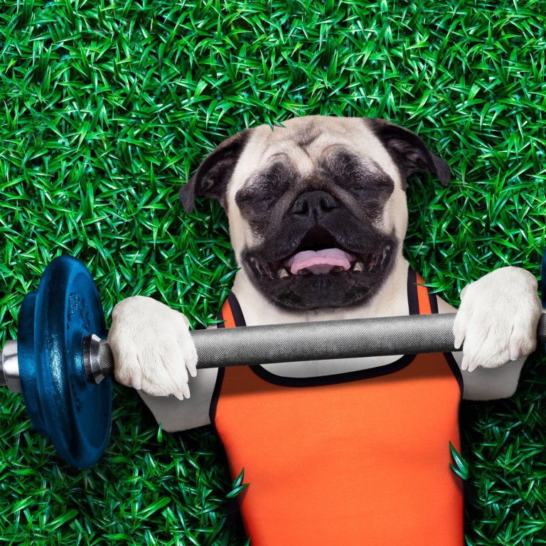 Some gymgoers pile so much weight on the bar that they almost drop it on their neck.