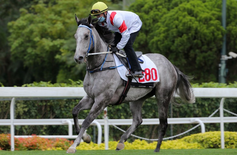 Zac Purton and Classique Legend canter back after a barrier trial last week. Photos: Kenneth Chan