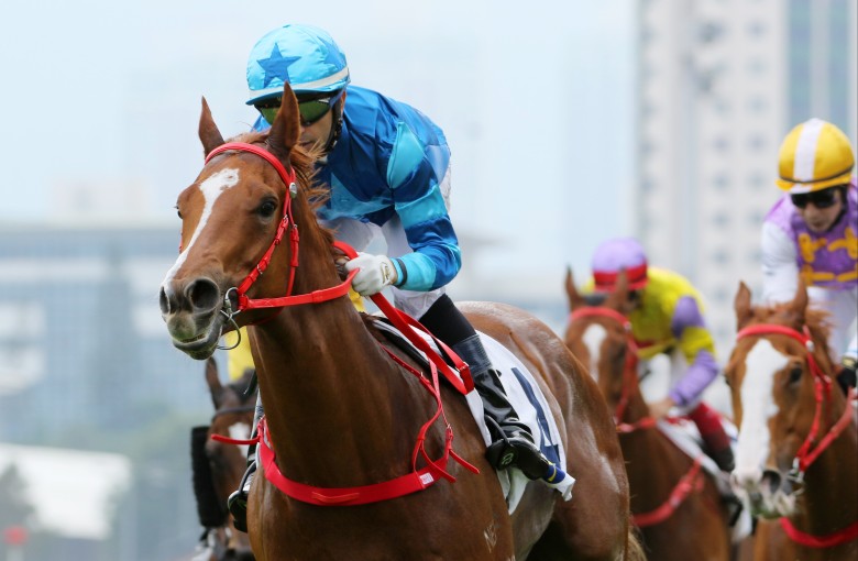 Master Eight makes it four on the trot last start. Photo: Kenneth Chan