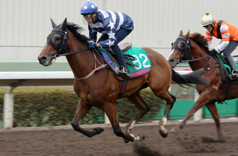 Vincent Ho trials The Irishman at Sha Tin last week. Photo: Kenneth Chan