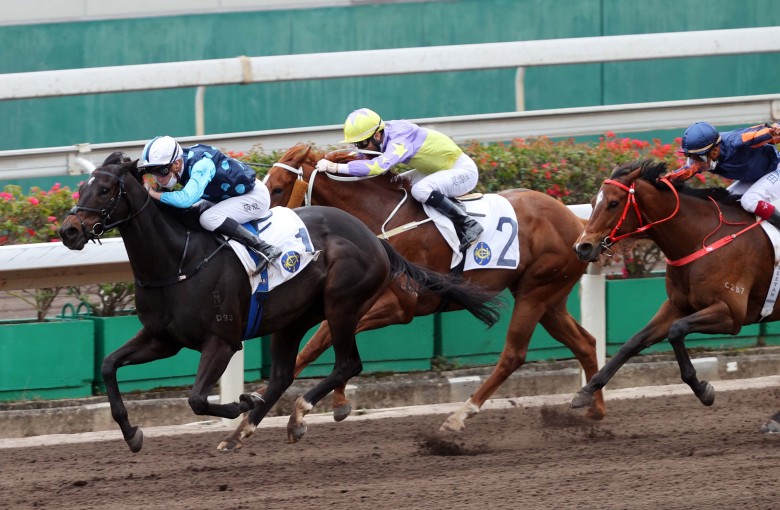 Will Power beats home Red Desert (right) and Californiadeepshot to win the Class One Cornflower Handicap at Sha Tin. Photo: HKJC