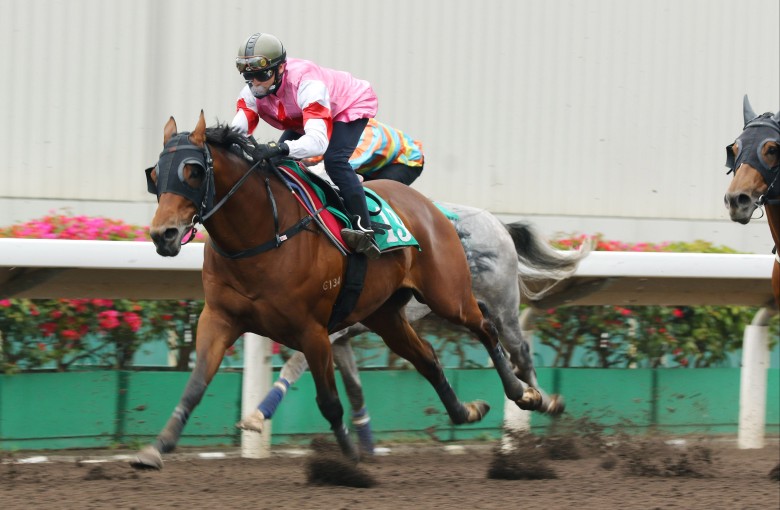 Turin Redsun trials at Sha Tin and his trainer Douglas Whyte is sure he’ll run well in the Hong Kong Derby. Photo: Kenneth Chan