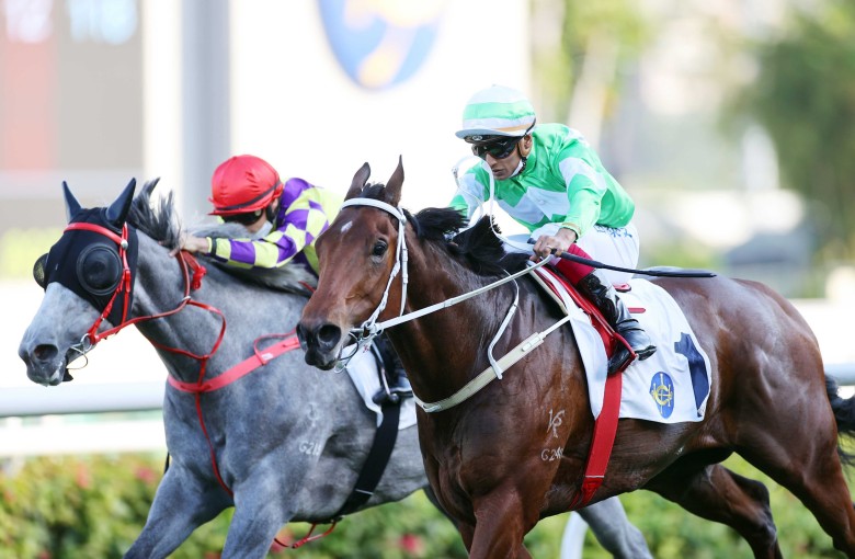 Buzzinga (outside) fights off Brilliant Way to win at Sha Tin on Sunday. Photo: HKJC