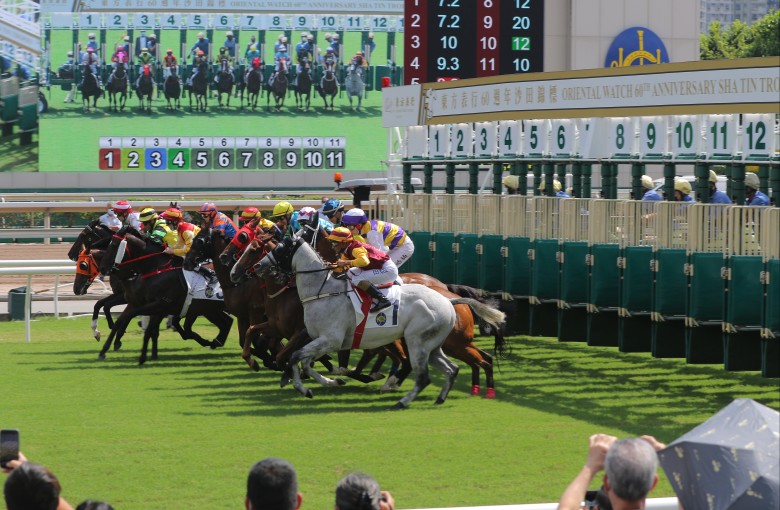 Jockey Club resumes cross border horse movement after four week