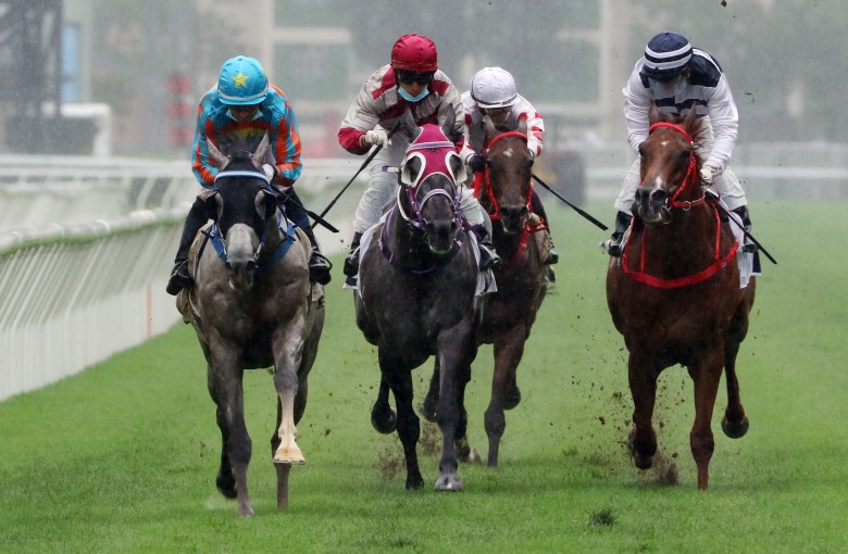 Senor Toba (left) wins the Queen Mother Memorial Cup at Sha Tin on Sunday. Photos: Kenneth Chan