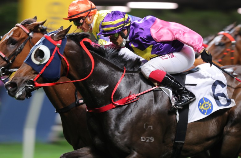 Everyone’s Delight just gets the better of Soulmate at Happy Valley on Wednesday night. Photo: Kenneth Chan