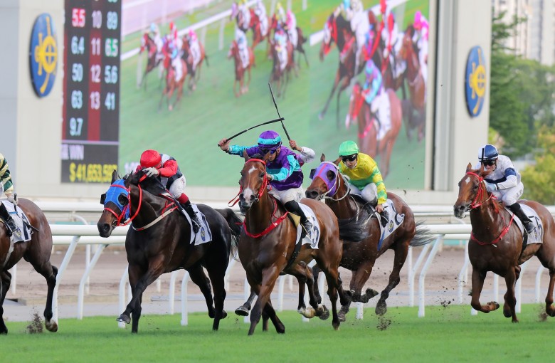 Winning Dreamer (purple and blue silks) salutes at Sha Tin. Photo: Kenneth Chan