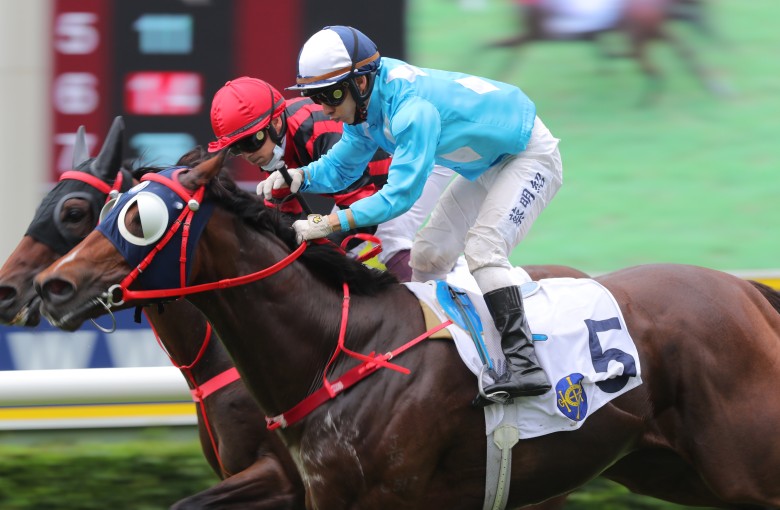 All For St Paul’s under Matthew Chadwick defeats Bourbonaire (pictured) and previously unbeaten Galaxy Witness (third) at Sha Tin on June 12. Photos: Kenneth Chan.