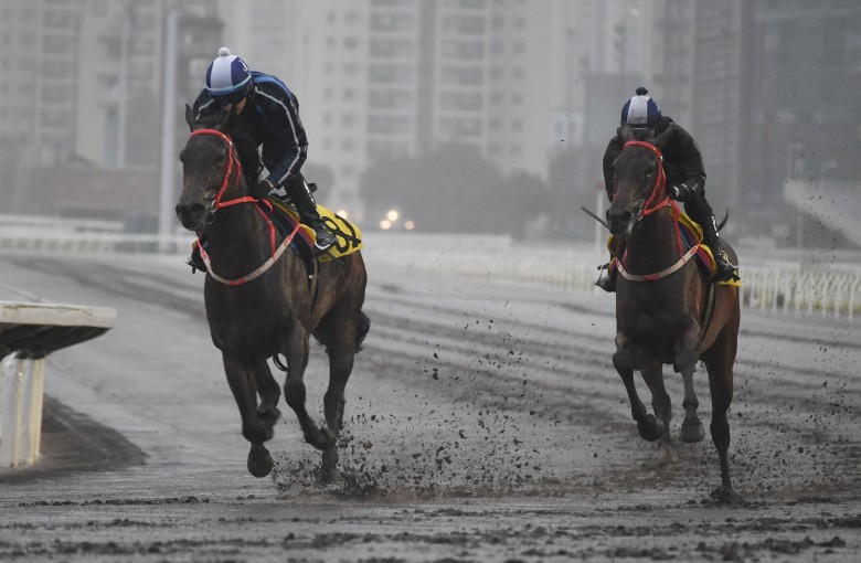 Baby Crystal (left) and A Americ Te Specso (right) gallop on Sha Tin’s all-weather track ahead of their respective debuts for 11-time champion trainer John Size. Photos: Kenneth Chan