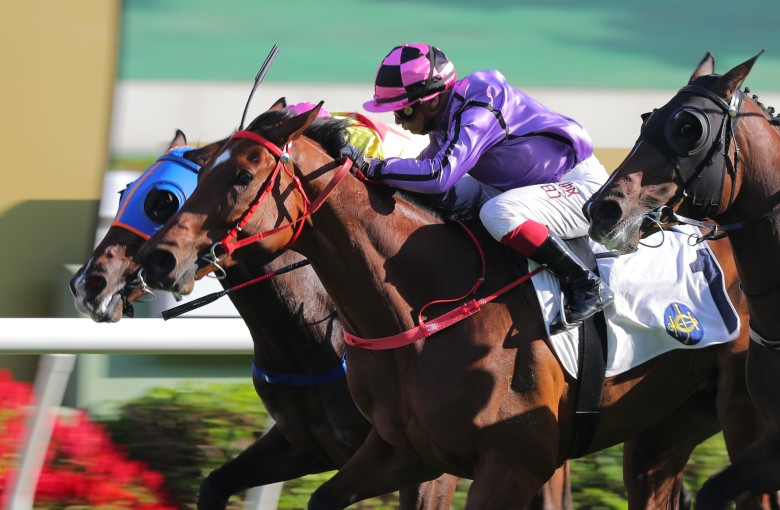 Alexis Badel drives Sweet Encounter to victory at Sha Tin on October 16. Photo: Kenneth Chan