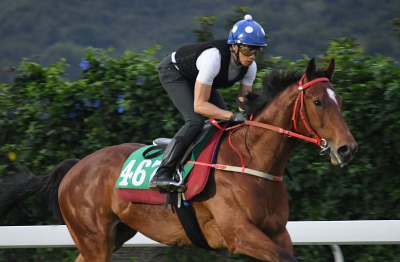 Danny Shum debuts HK$7 million Hong Kong International Sale