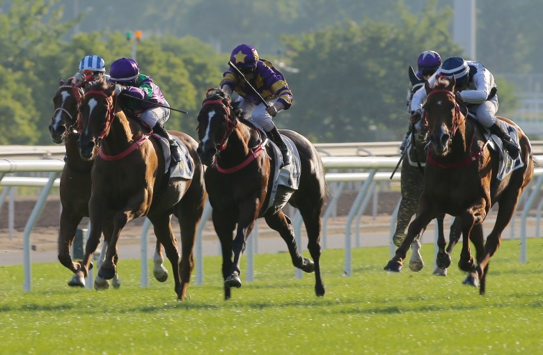 Excellent Proposal (left) and Butterfield (right) place in last year’s Chevalier Cup. Photo: Kenneth Chan