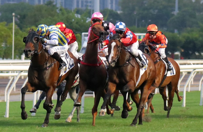 Beauty Eternal and Zac Purton run into the last of several dead ends at Sha Tin on November 6. Photo: Kenneth Chan