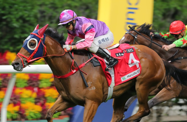 Excellent Peers goes back to back at Happy Valley on November 16. Photo: Kenneth Chan