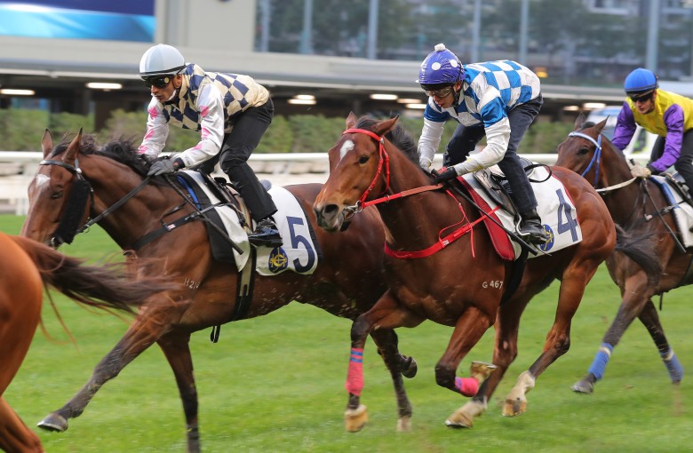 Chilean Group One winner Alacrity (left) trials under Karis Teetan at Happy Valley on January 28. Photos: Kenneth Chan