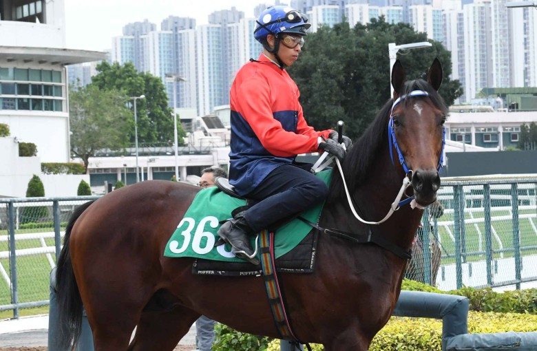 Viva Chaleur and Vincent Ho head out to trial. Photo: Kenneth Chan