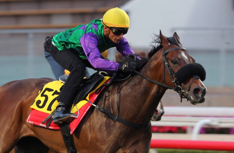 Flaming Rabbit trials under Karis Teetan at Sha Tin on Tuesday morning. Photos: Kenneth Chan