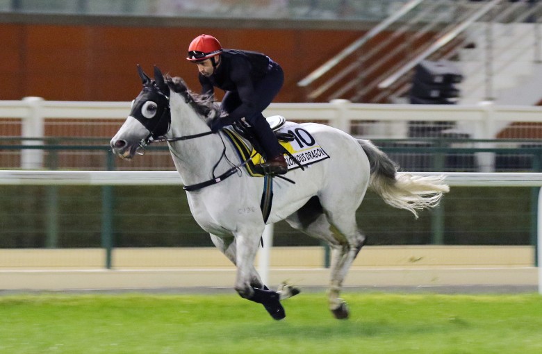 Neil Callan gallops Glorious Dragon at Meydan on Wednesday morning. Photos: Kenneth Chan