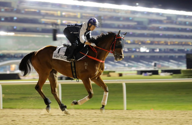 Sight Success gallops at Meydan on Thursday morning. Photos: Kenneth Chan