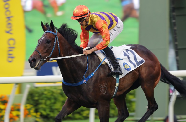 Straight Arron wins the Class Two Wan Chai Gap Handicap (1,800m) under Vincent Ho at Sha Tin on Sunday. Photo: Kenneth Chan