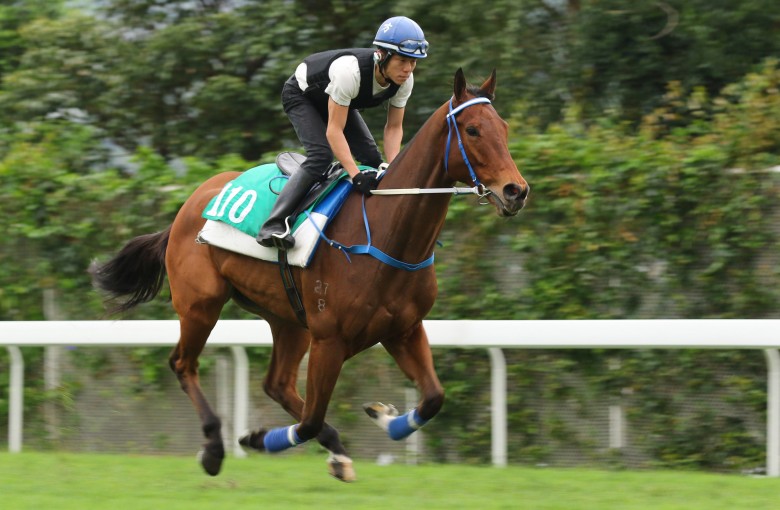 Galaxy Witness gallops at Sha Tin on Monday. Photos: Kenneth Chan