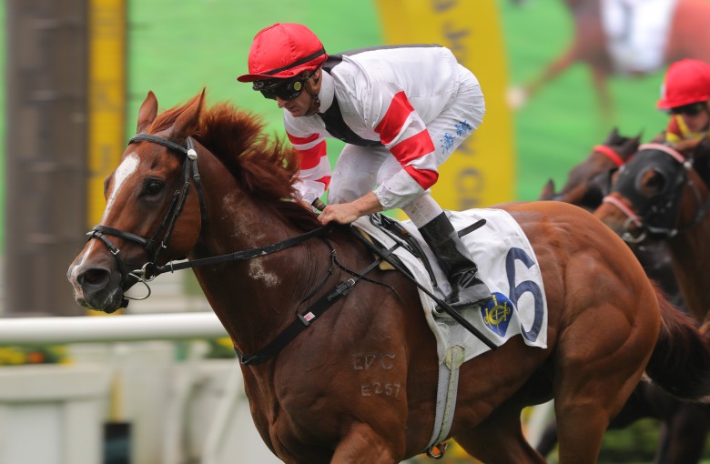 War Weapon registers his first Hong Kong win at Sha Tin on April 24. Photos: Kenneth Chan