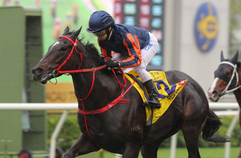 Red Lion wins the Class One Hong Kong Macau Trophy (1,400m) under Alexis Badel at Sha Tin on Saturday. Photos: Kenneth Chan