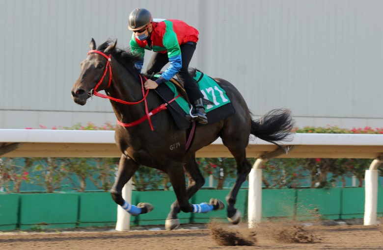 Derek Leung partners Money Catcher in a trial during his four-year-old season. Photo: Kenneth Chan