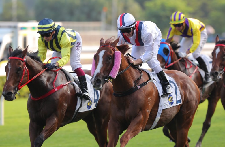 Stoltz (right) wins the Group Three National Day Cup (1,000m) under Zac Purton at Sha Tin. Photos: Kenneth Chan