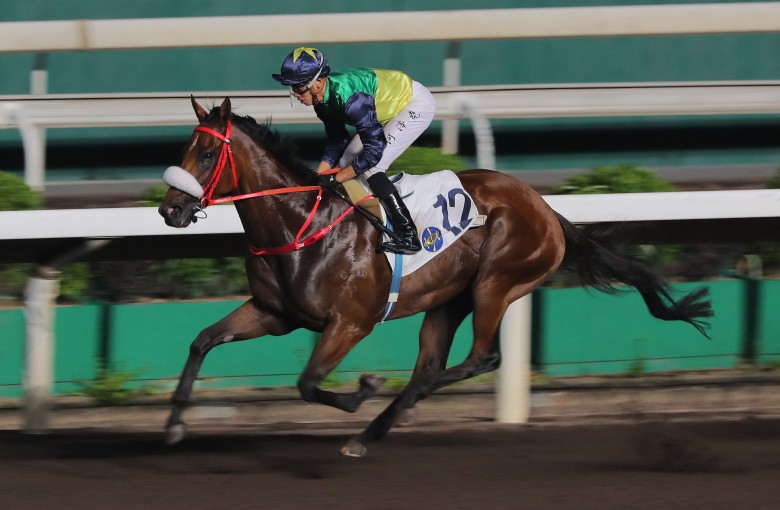 Youthful Deal completes his Sha Tin dirt 1,200m hat-trick under Vincent Ho on June 4. Photos: Kenneth Chan