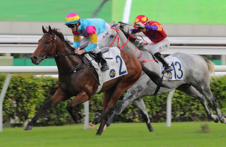 Taj Dragon (left) gets the better of Super Winner at Sha Tin last month. Photo: Kenneth Chan
