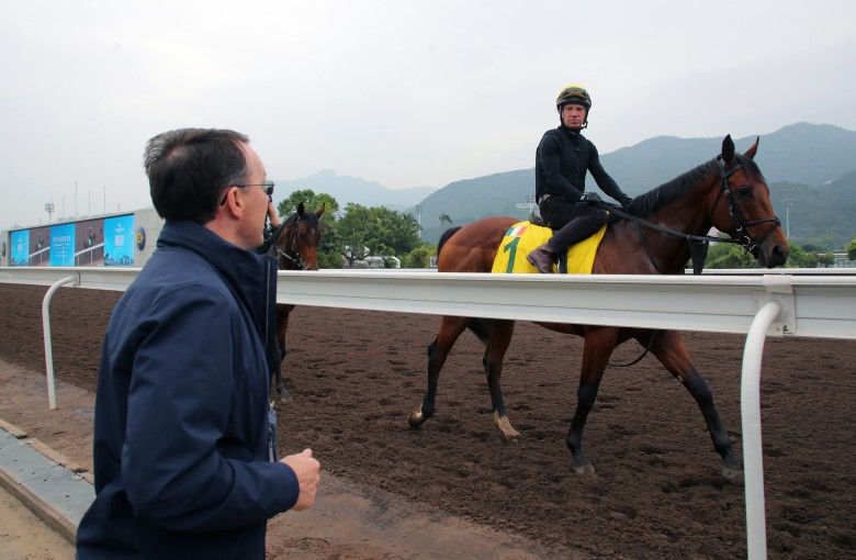 Longer the race better the chance of Aidan O Brien celebrating