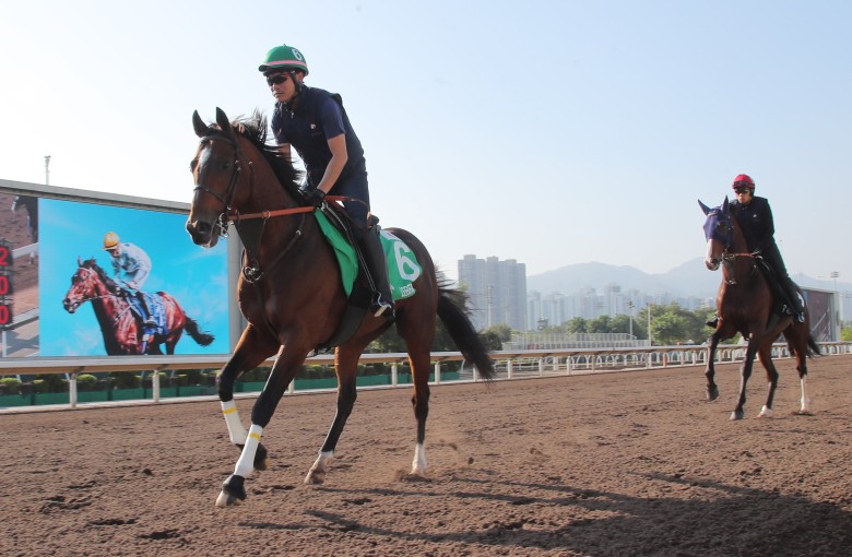 HKIR Watch the last start of every Hong Kong Vase runner