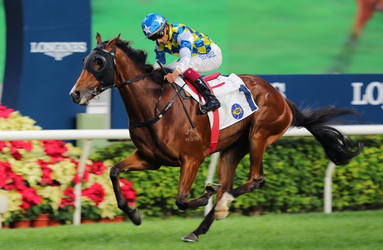 Read our in depth guide to all of this year s Longines Hong Kong