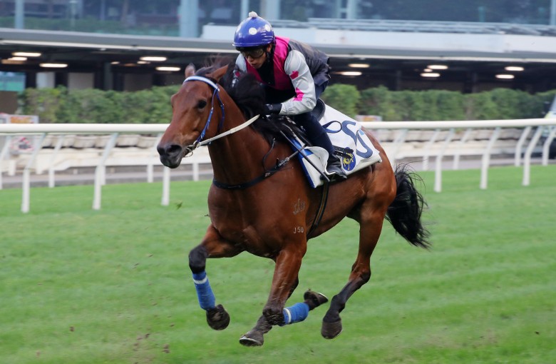 Awesome Fluke trials at Happy Valley on November 25. Photo: Kenneth Chan