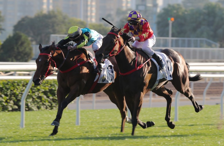 Raging Blizzard (left) edges Gorgeous Win to salute over 1,200m at Sha Tin last month. Photo: Kenneth Chan
