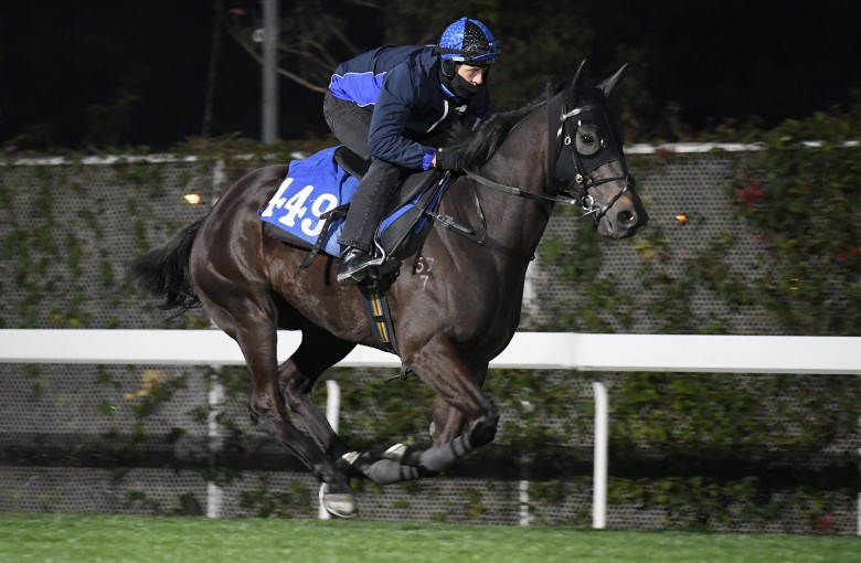Trainer Mark Newnham partners Courier Wonder in a gallop on Thursday morning. Photos: Kenneth Chan