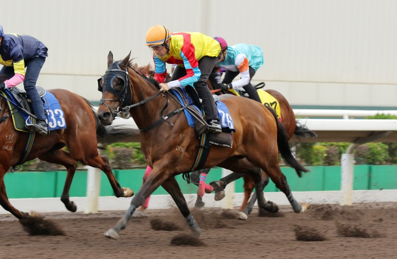 Hugh Bowman partners Wellington in an all-weather trial at Sha Tin earlier this month. Photo: Kenneth Chan