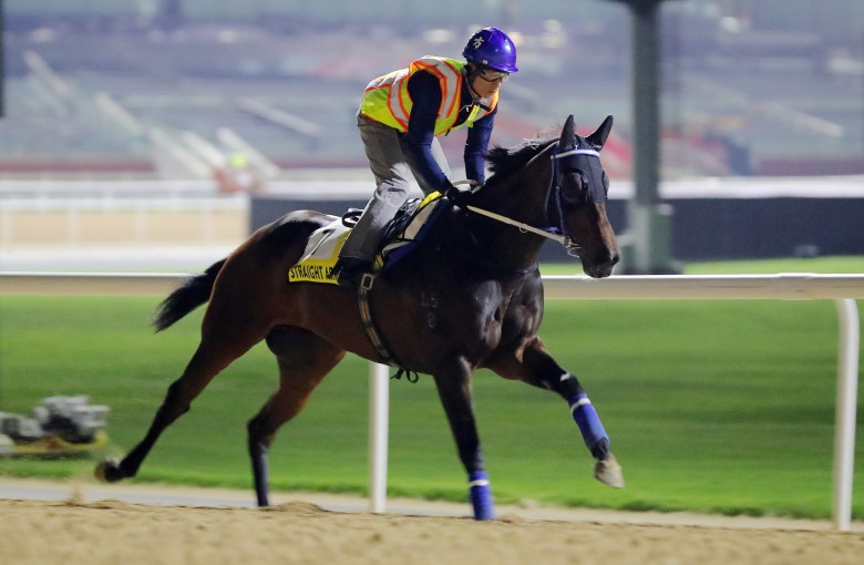 Straight Arron gallops at Meydan on Wednesday morning. Photos: Kenneth Chan