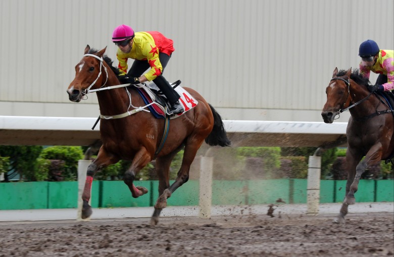 California Spangle coasts to victory in his 1,200m dirt trial on Tuesday morning. Photos: Kenneth Chan