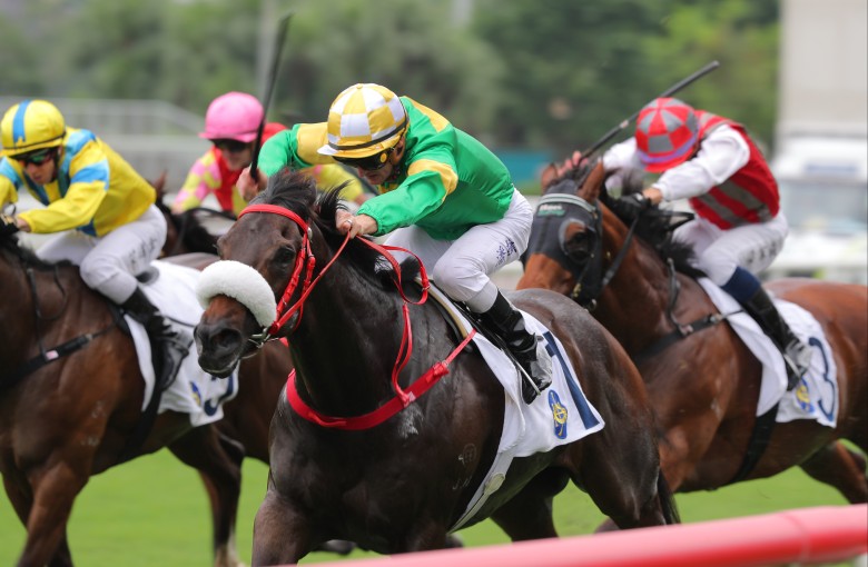Bottomuptogether records his second win at Sha Tin last month. Photo: Kenneth Chan