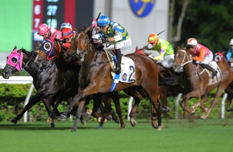 The exciting Galaxy Patch is expected to be one of the stars of the 2024-25 Hong Kong season. Photos: Kenneth Chan