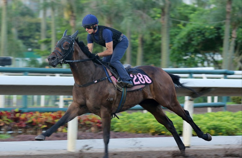 Harold Win gallops on the Sha Tin dirt under Andrea Atzeni. Photos: Kenneth Chan