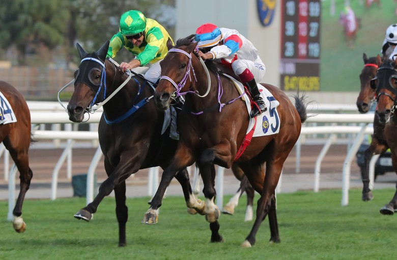 Sky Trust (left) and Winning Gold fight out the finish at Sha Tin on February 9. Photo: Kenneth Chan