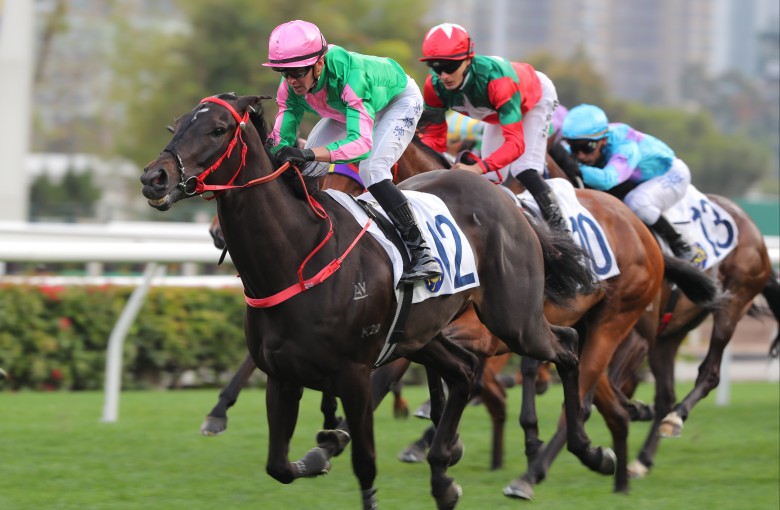Ben Thompson steers Bundle Award to an impressive win. Photos: Kenneth Chan