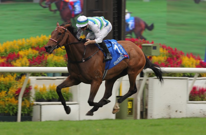 Voyage Bubble wins Sunday’s Group One Champions & Chater Cup (2,400m). Photo: Kenneth Chan