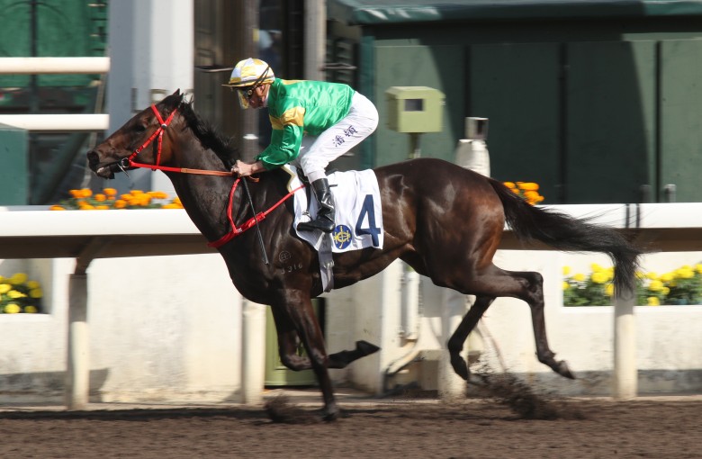 Bottomuptogether wins under Zac Purton at Sha Tin in April. Photo: Kenneth Chan