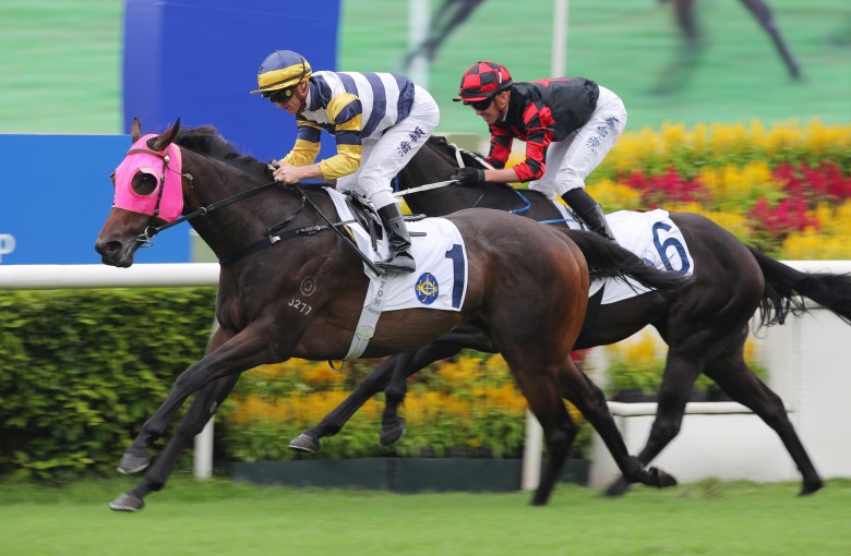 Packing Hermod salutes under Zac Purton last month. Photo: Kenneth Chan